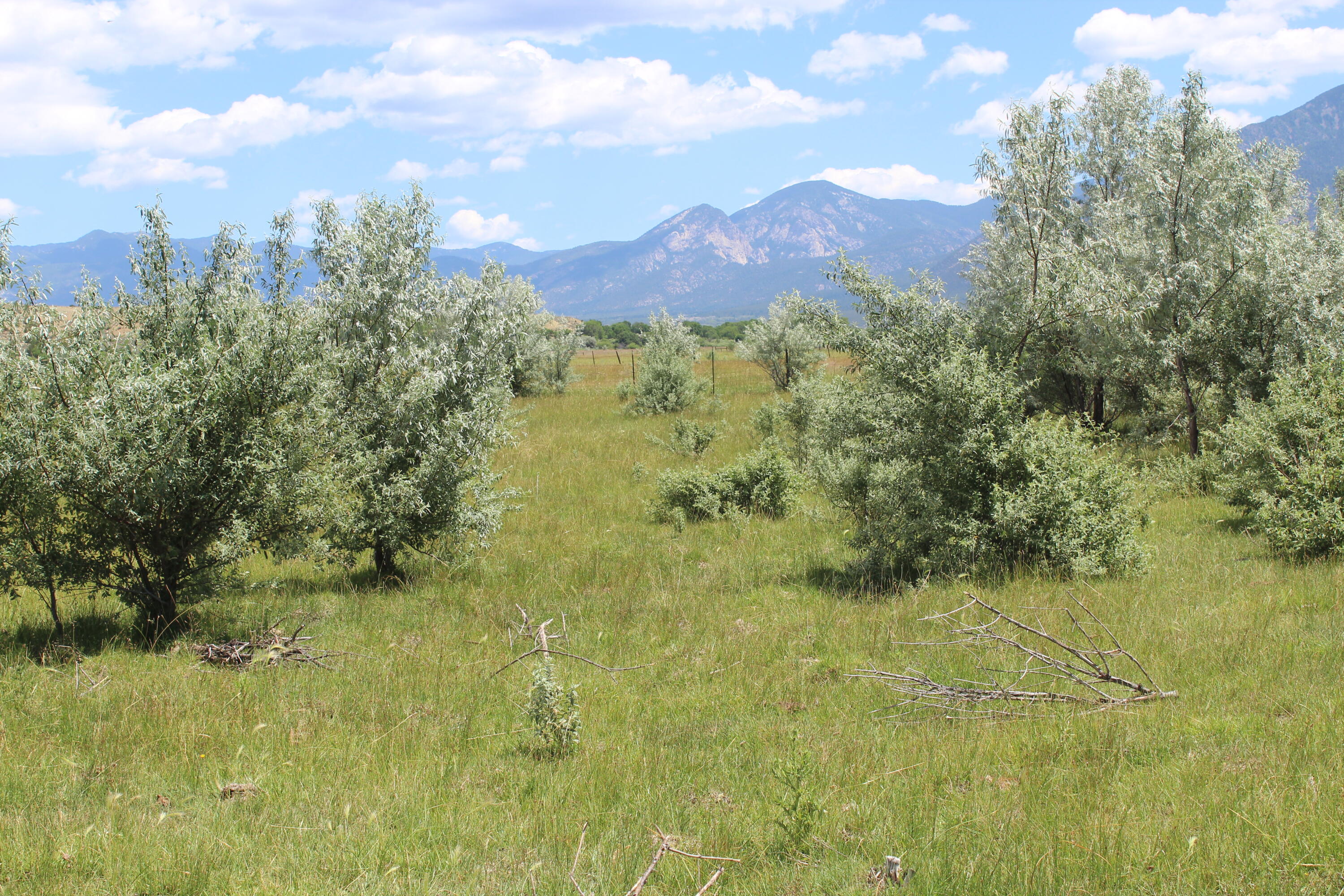 La Senisa Road, Taos, New Mexico image 31