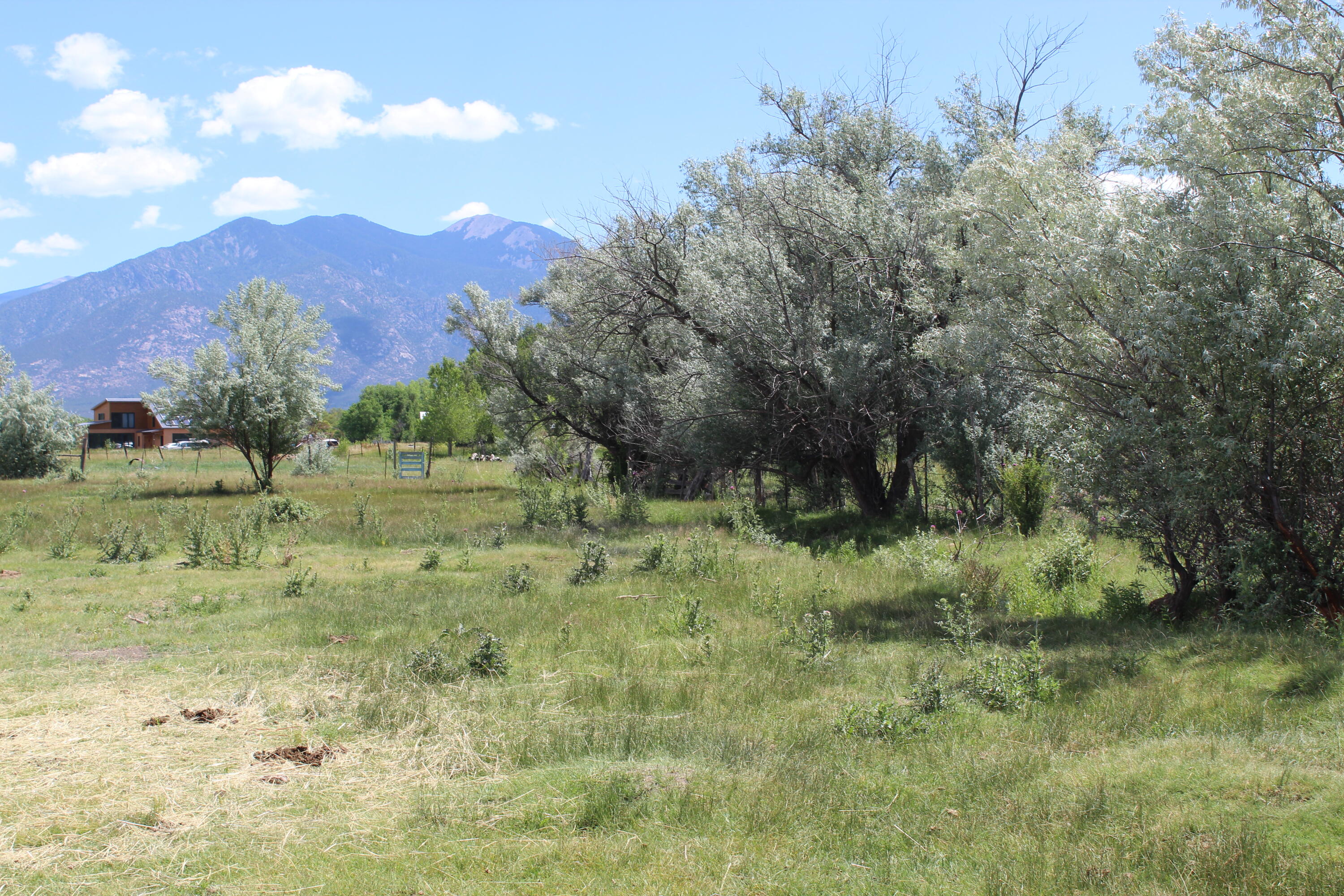 La Senisa Road, Taos, New Mexico image 27