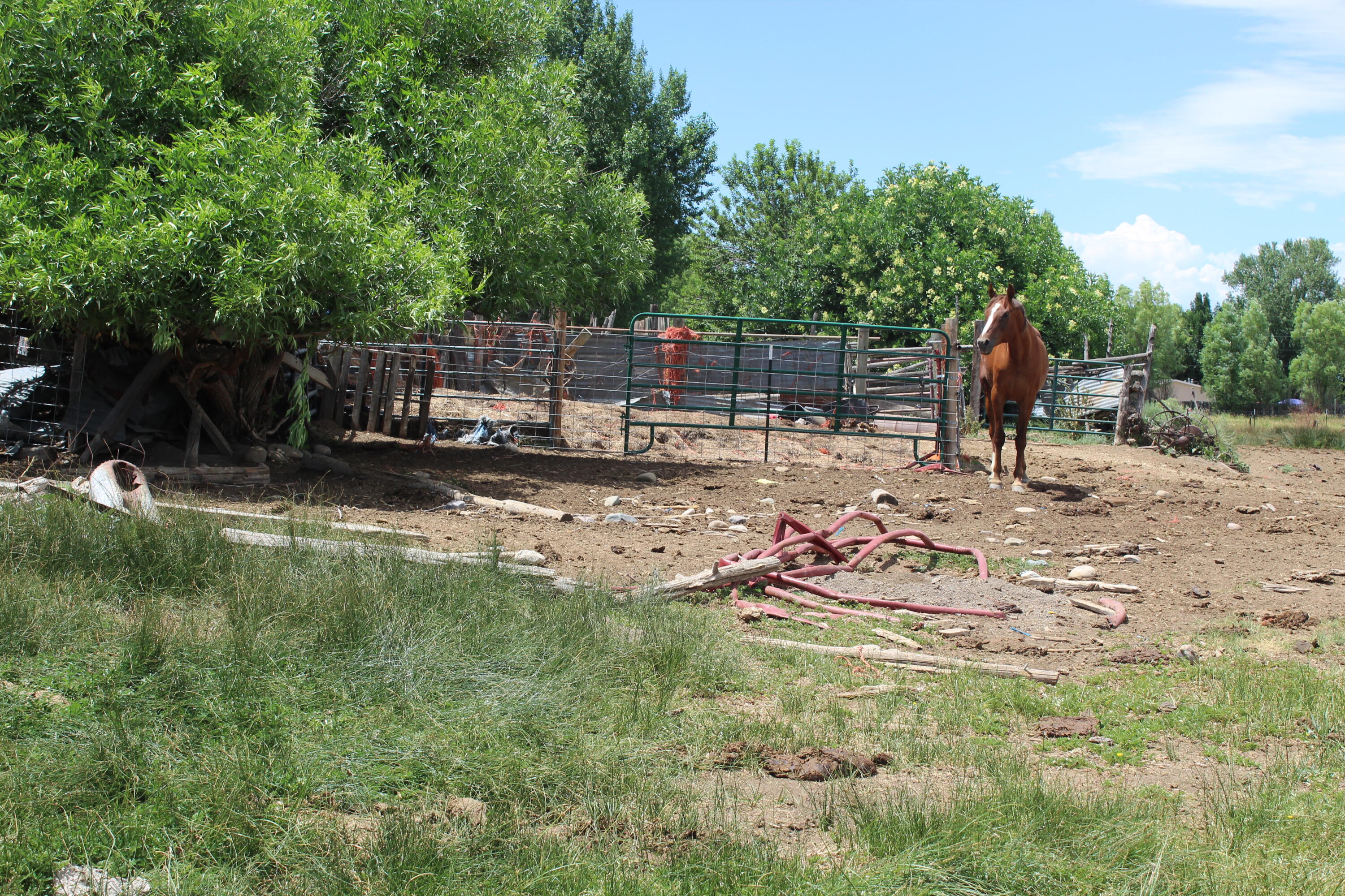 La Senisa Road, Taos, New Mexico image 39