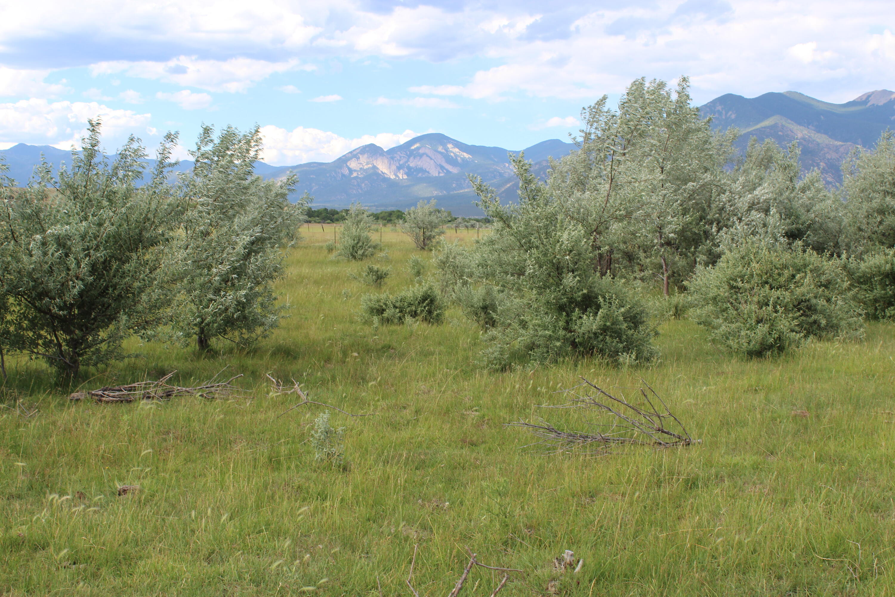 La Senisa Road, Taos, New Mexico image 18