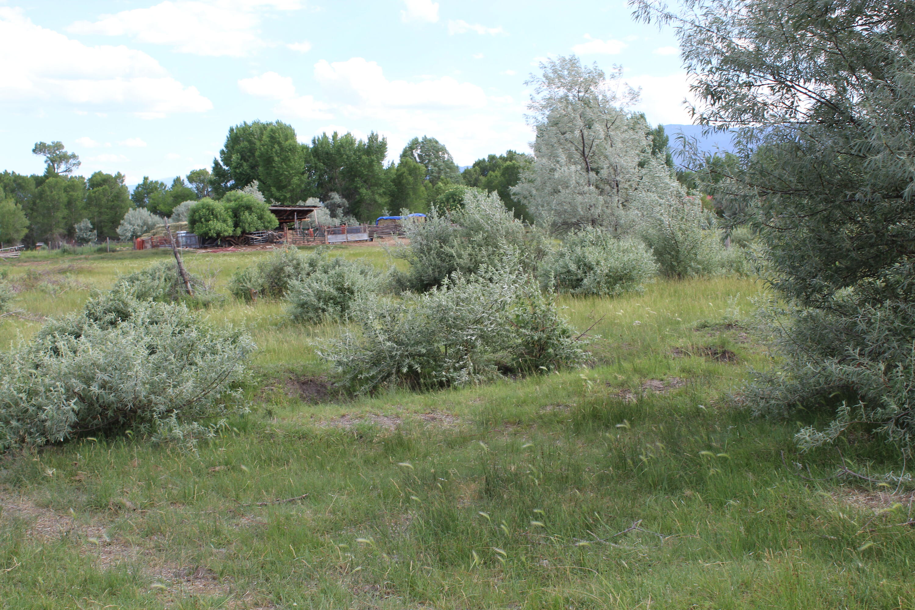 La Senisa Road, Taos, New Mexico image 21