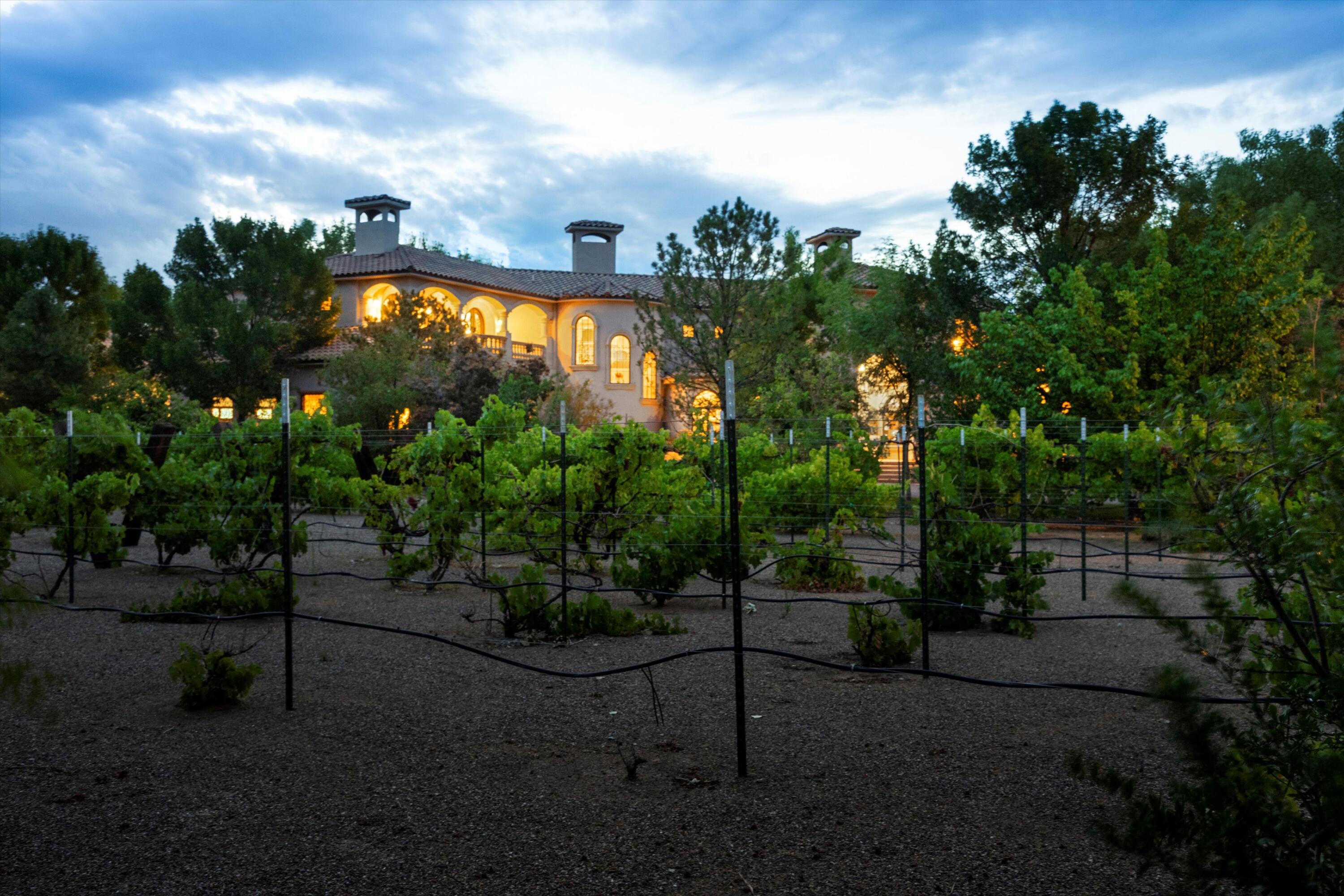 656 Camino Vista Rio, Bernalillo, New Mexico image 10