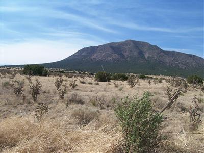 111 Entranosa Road #ENTRANOSA  HORTON, Edgewood, New Mexico image 6