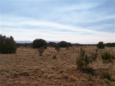 111 Entranosa Road #ENTRANOSA  HORTON, Edgewood, New Mexico image 4