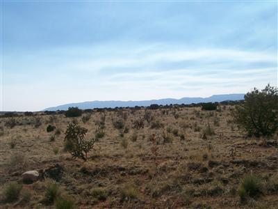 111 Entranosa Road #ENTRANOSA  HORTON, Edgewood, New Mexico image 10