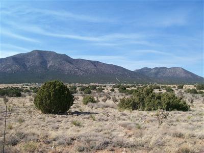 111 Entranosa Road #ENTRANOSA  HORTON, Edgewood, New Mexico image 2