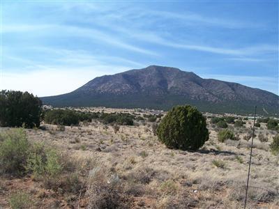 111 Entranosa Road #ENTRANOSA  HORTON, Edgewood, New Mexico image 8