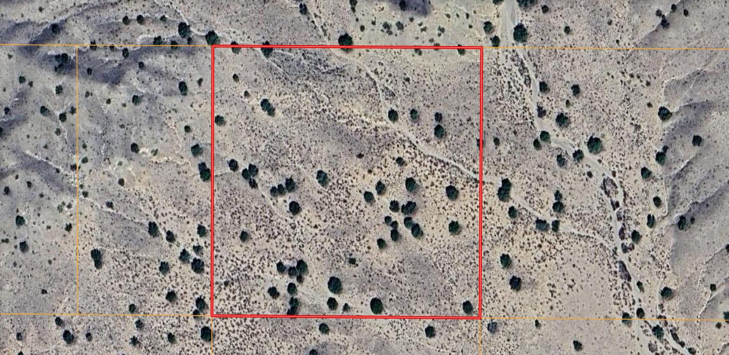 Lot 4 North of NM Hwy 6