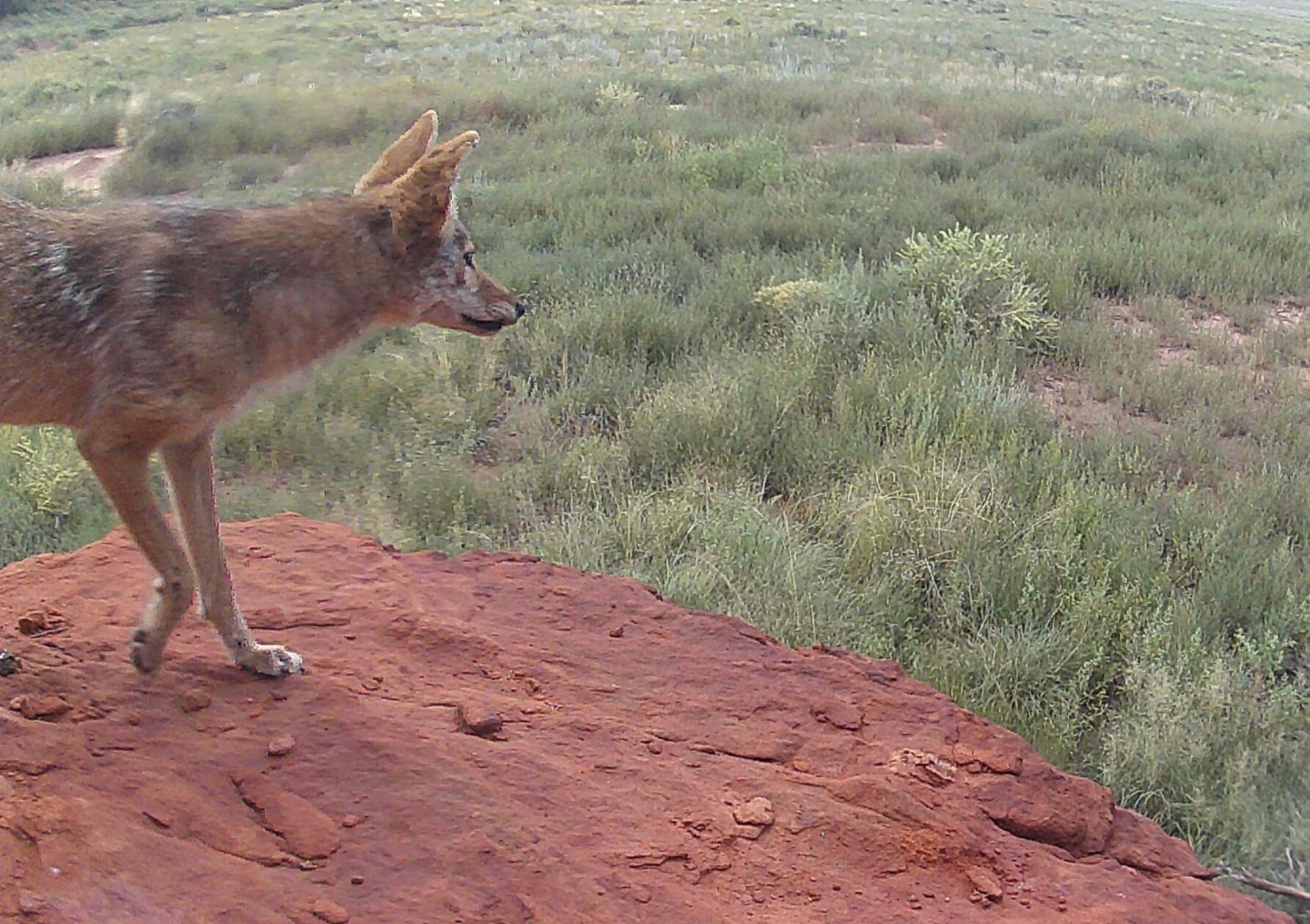 Hoodoo Hills Rd Road 5,8,10,11