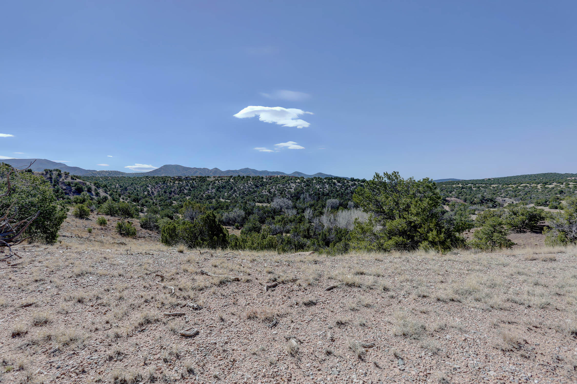 Gold Mine Trail, Sandia Park, New Mexico image 41