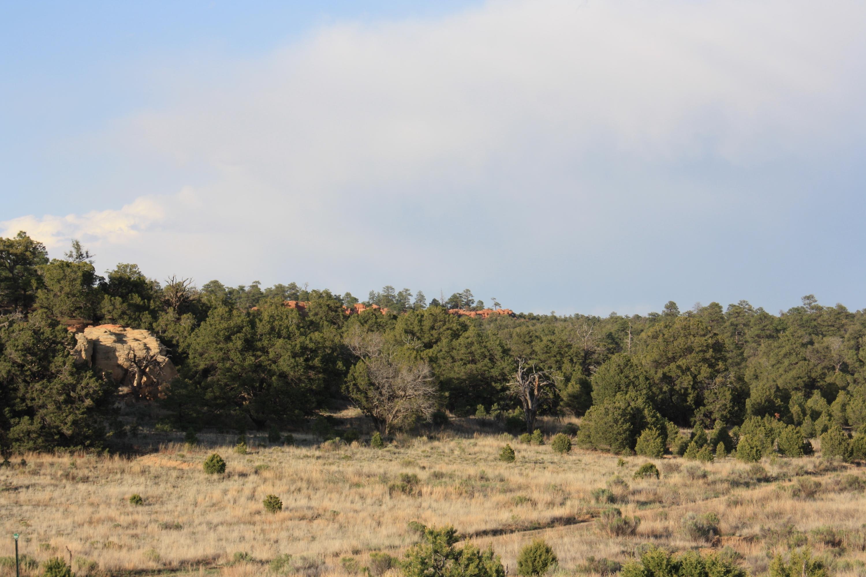 7 Branding Iron Road