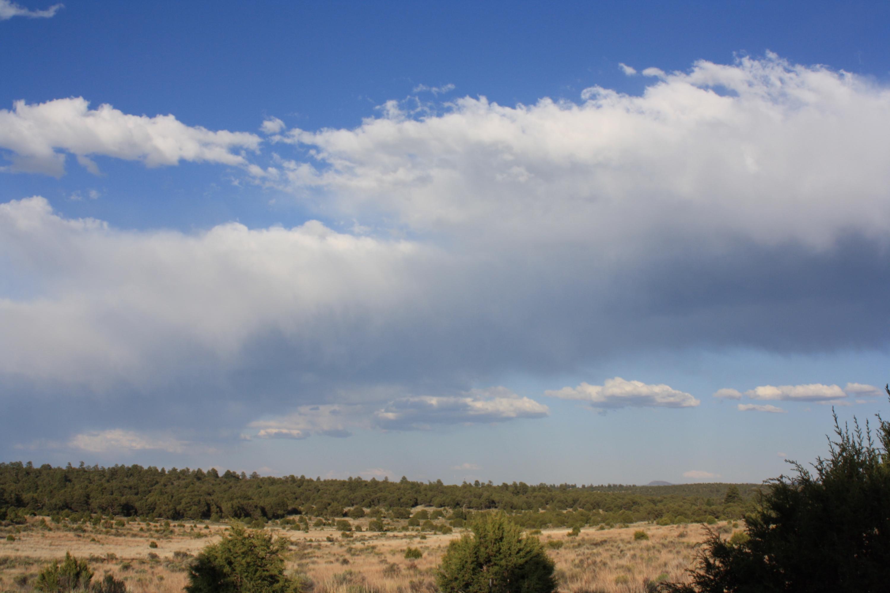 7 Branding Iron Road