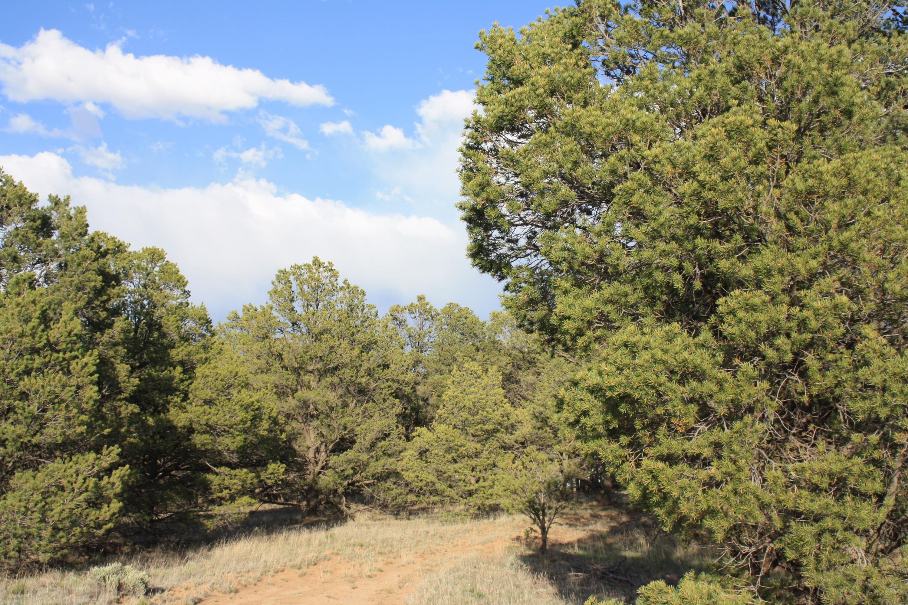 7 Branding Iron Road
