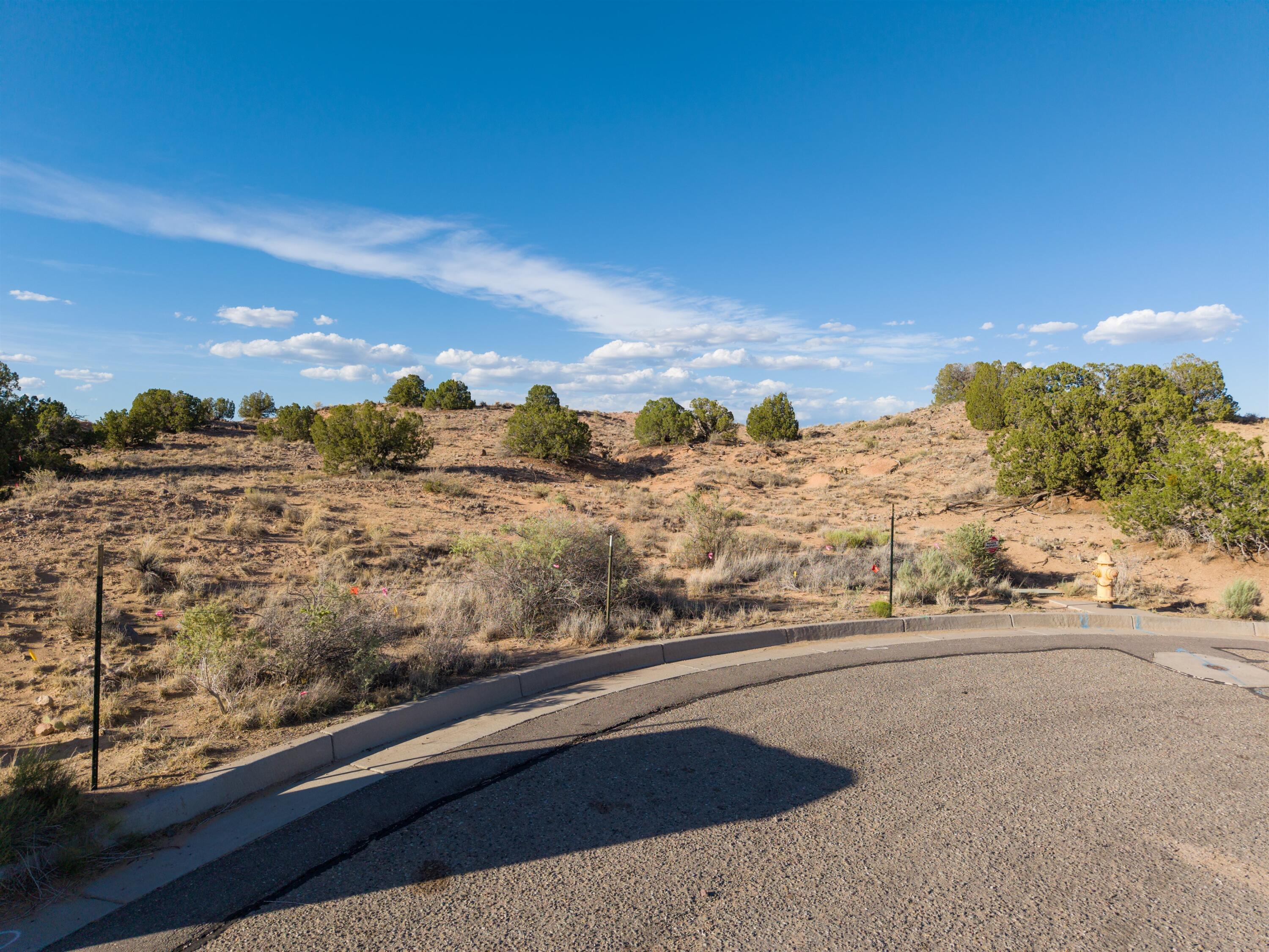 2300 Desert Zinnia Road NE
