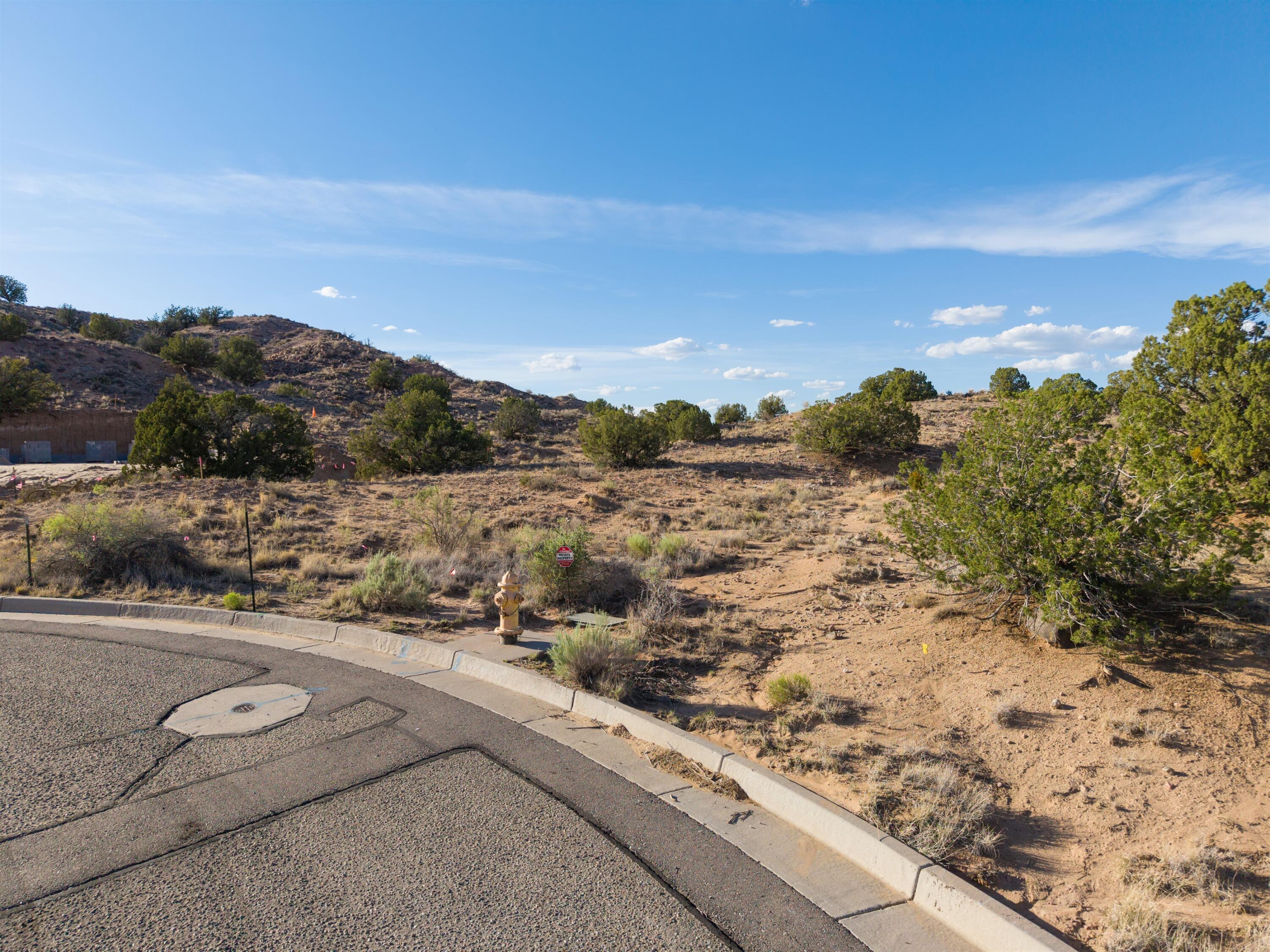 2300 Desert Zinnia Road NE