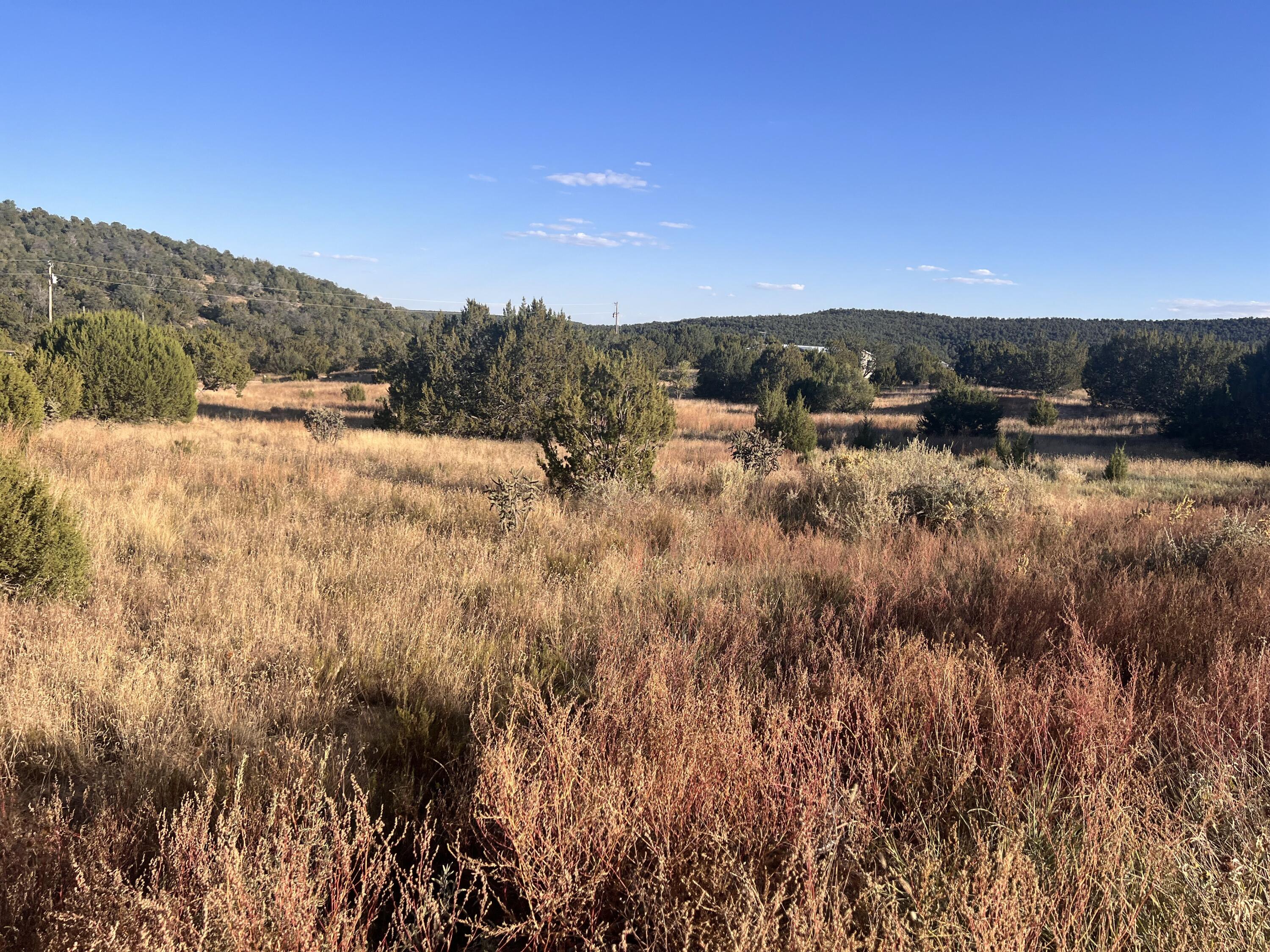 Tarn Road, Edgewood, New Mexico image 1