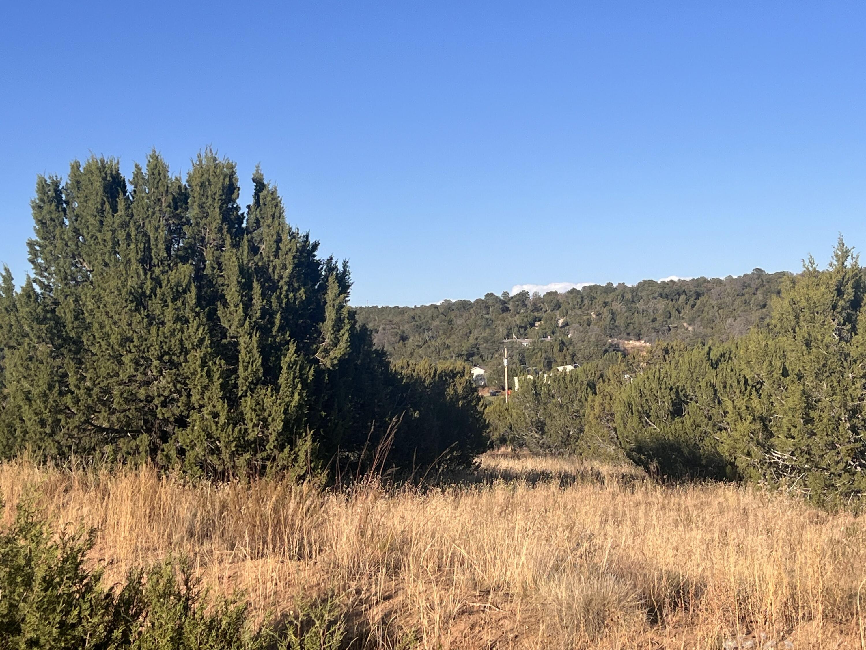 Tarn Road, Edgewood, New Mexico image 15