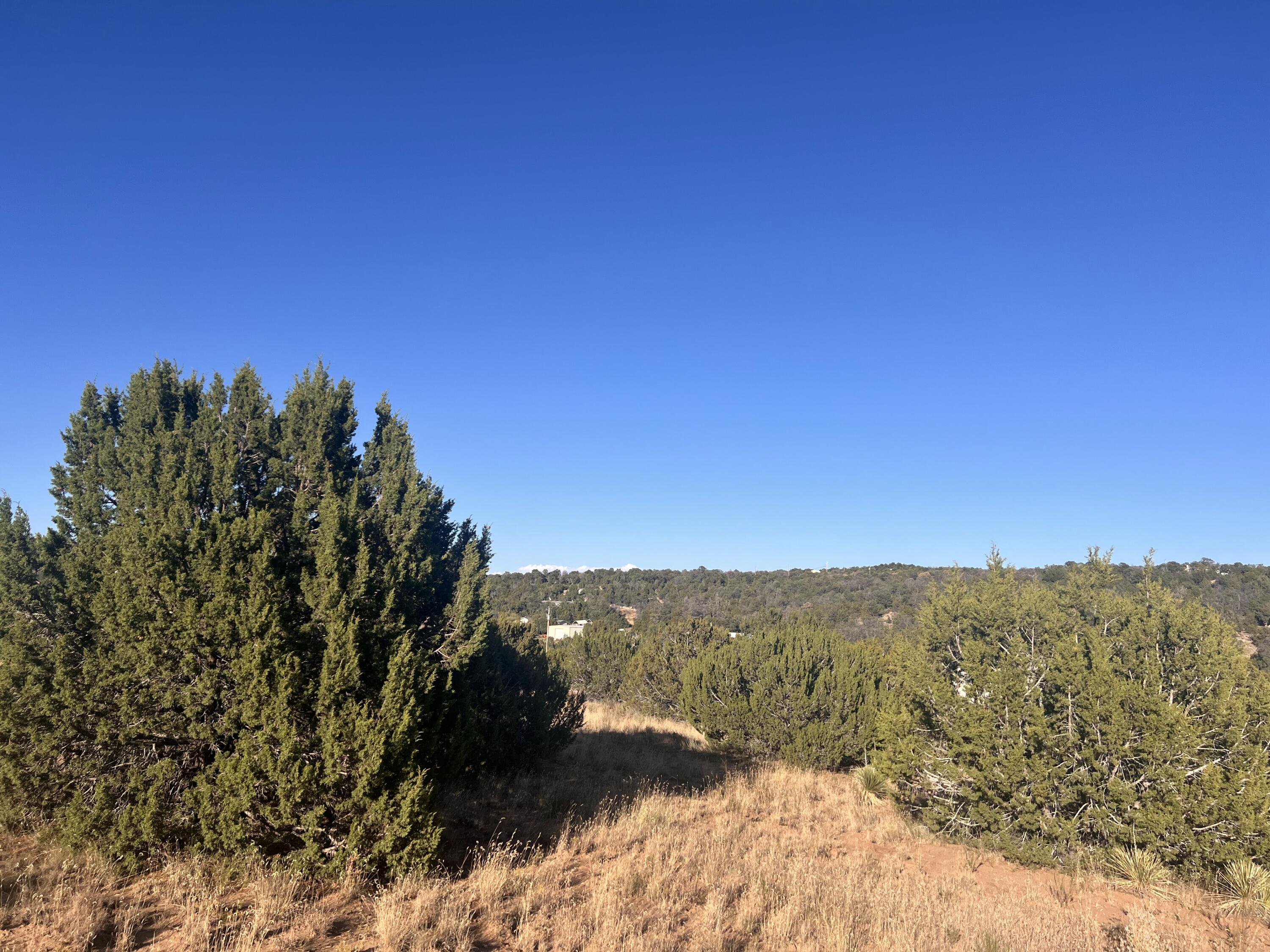 Tarn Road, Edgewood, New Mexico image 3