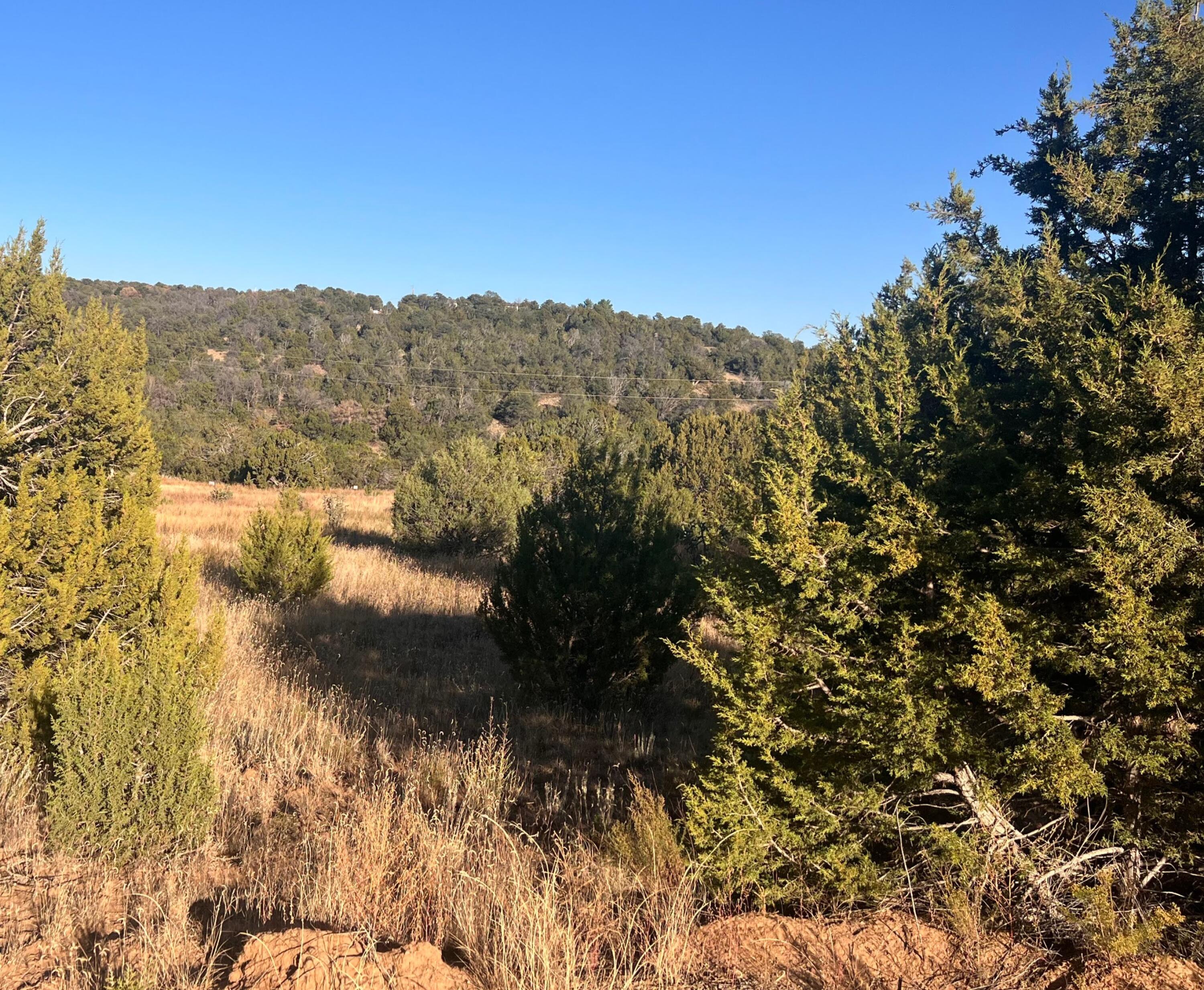 Tarn Road, Edgewood, New Mexico image 11