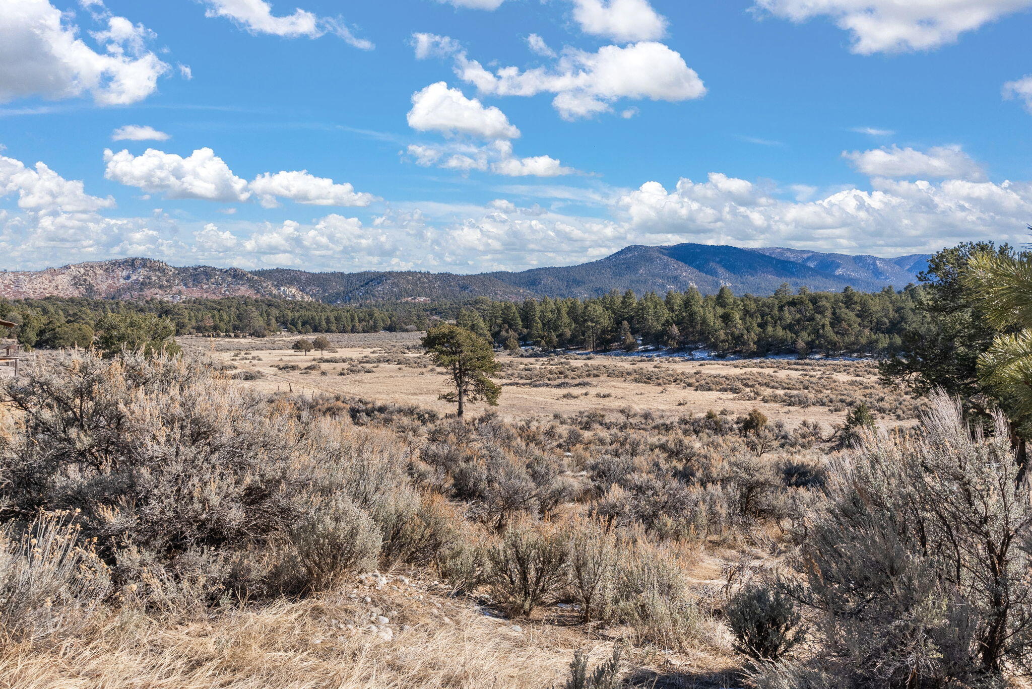 559 Albers Valley Road, Regina, New Mexico image 9