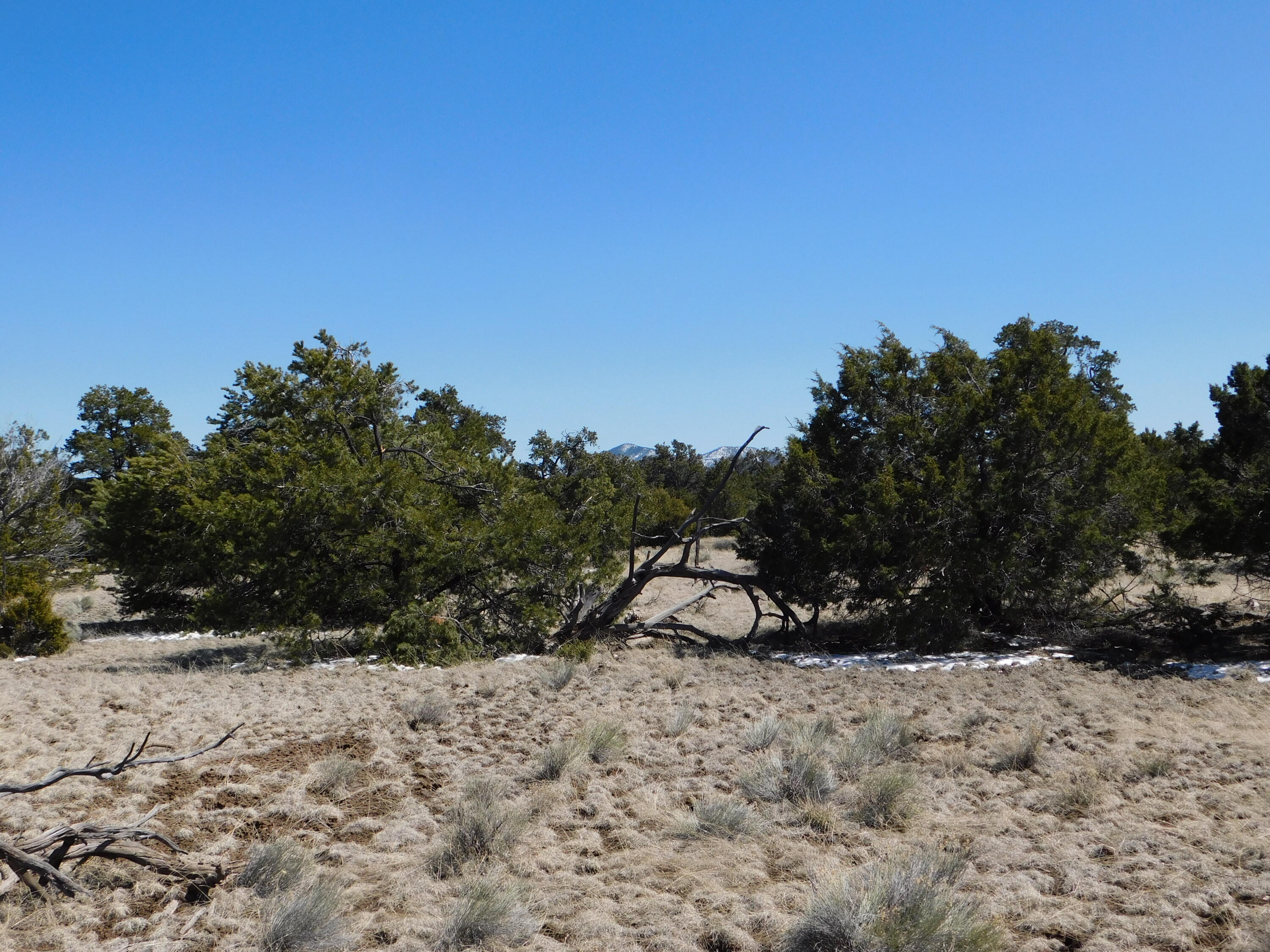 Lot 26 Spring Canyon Circle, Quemado, New Mexico image 14