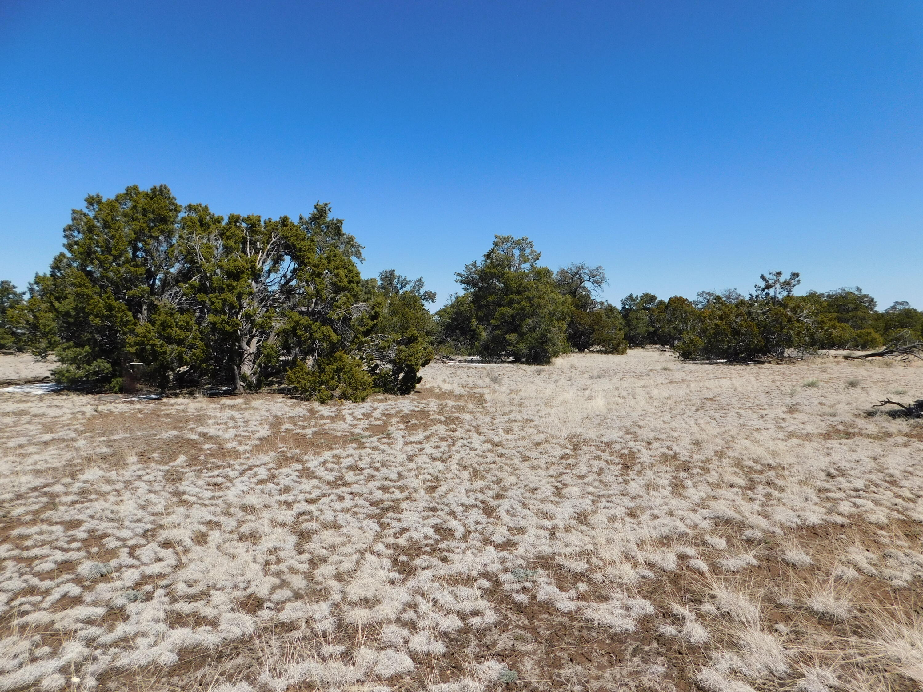 Lot 26 Spring Canyon Circle, Quemado, New Mexico image 9