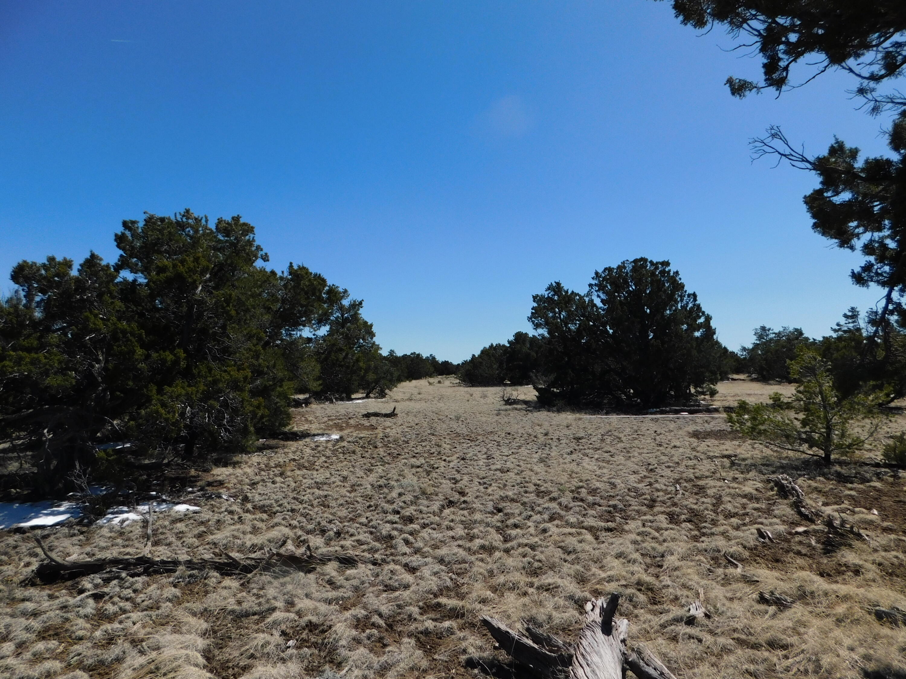 Lot 26 Spring Canyon Circle, Quemado, New Mexico image 10