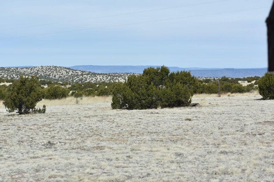 672 Pinon Springs Road, Magdalena, New Mexico image 43