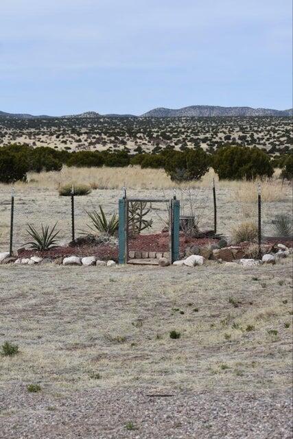 672 Pinon Springs Road, Magdalena, New Mexico image 38