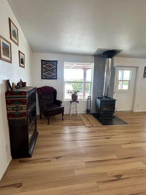 672 Pinon Springs Road, Magdalena, New Mexico image 16