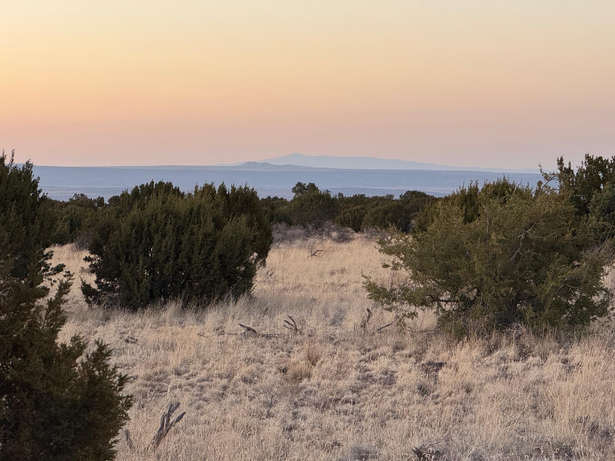 672 Pinon Springs Road, Magdalena, New Mexico image 48