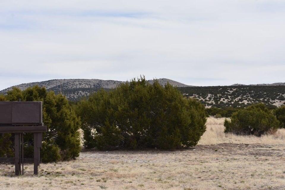 672 Pinon Springs Road, Magdalena, New Mexico image 41