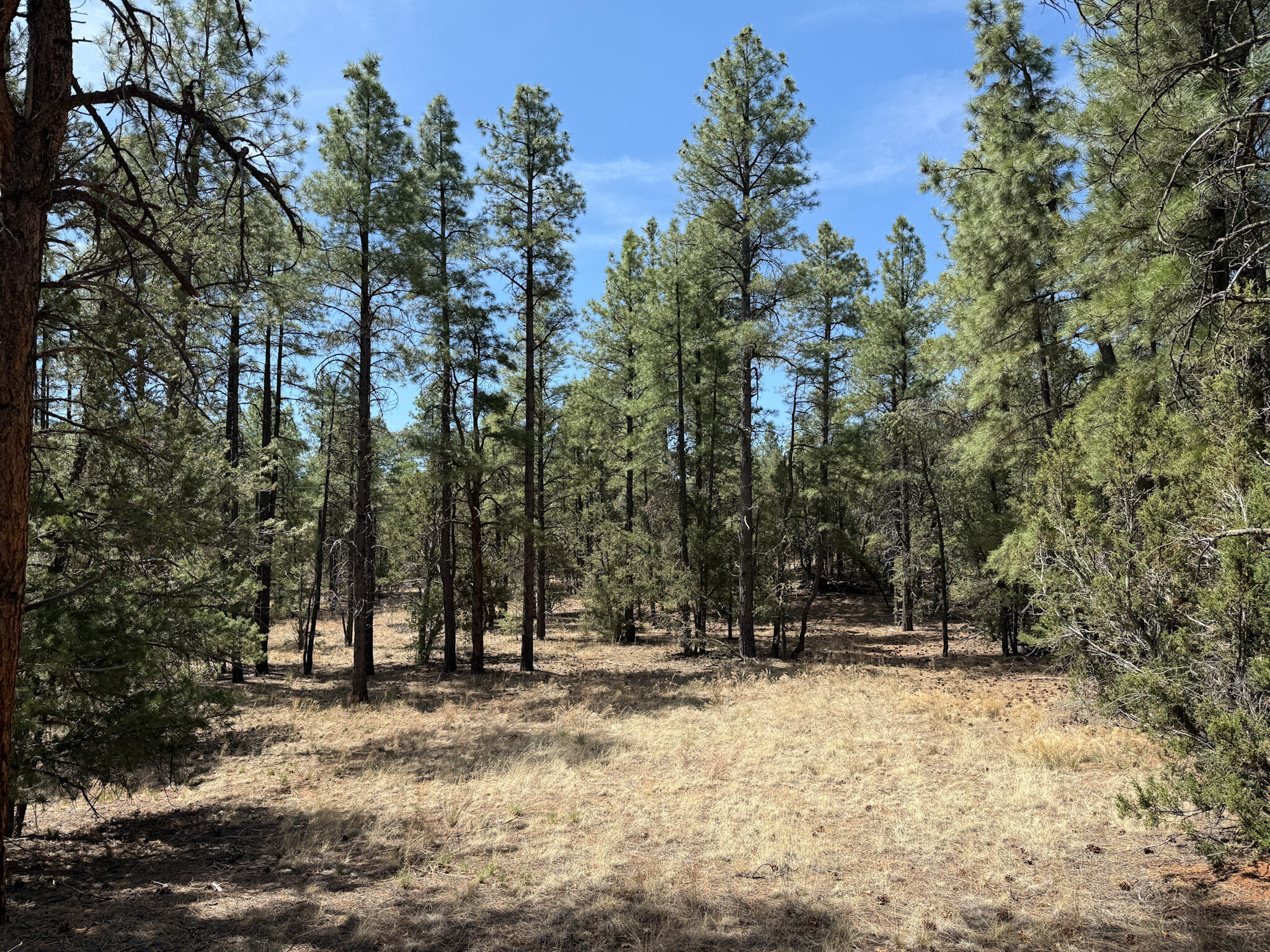 23 W Bluebird Road, Ramah, New Mexico image 33