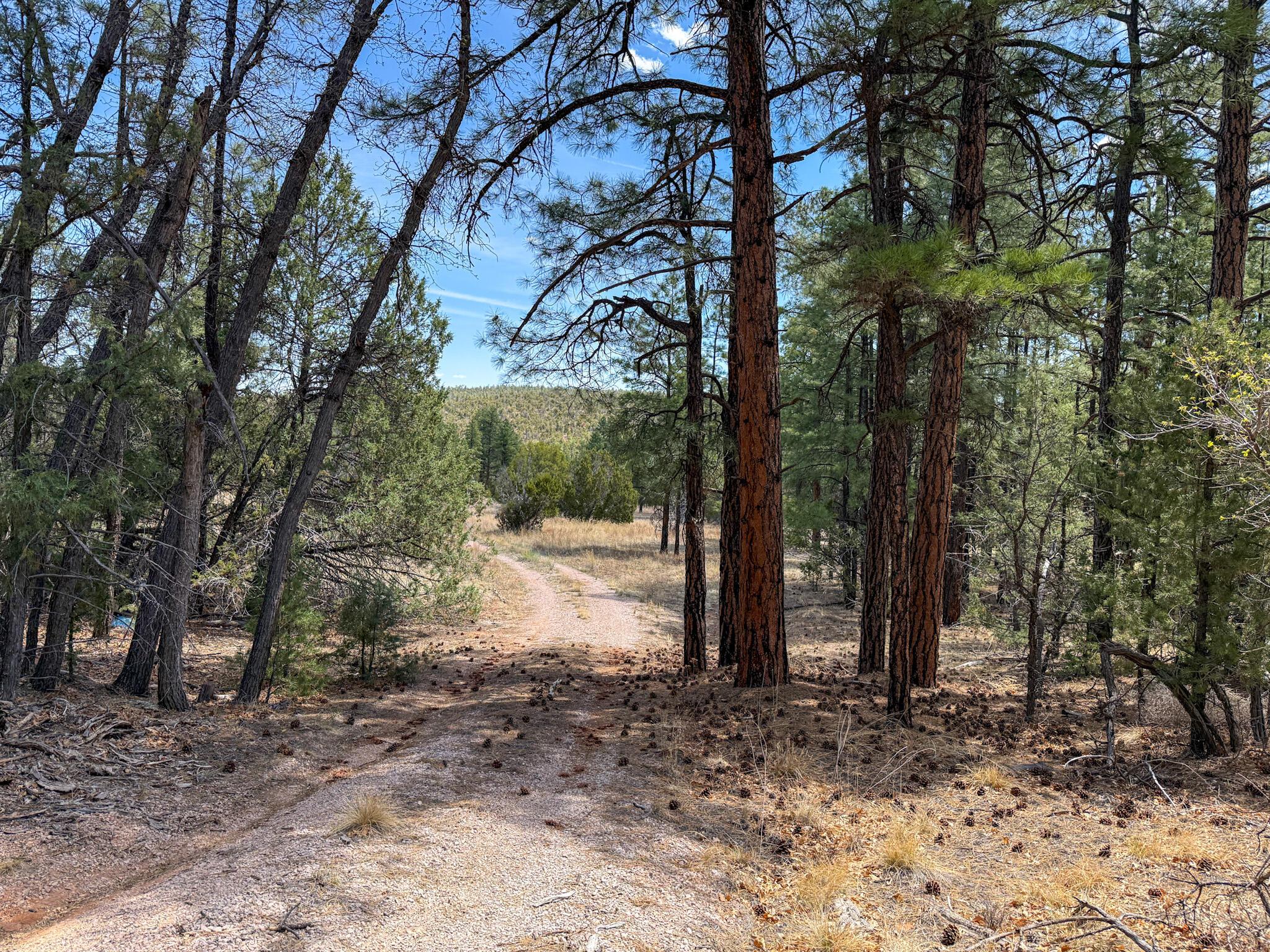 23 W Bluebird Road, Ramah, New Mexico image 40