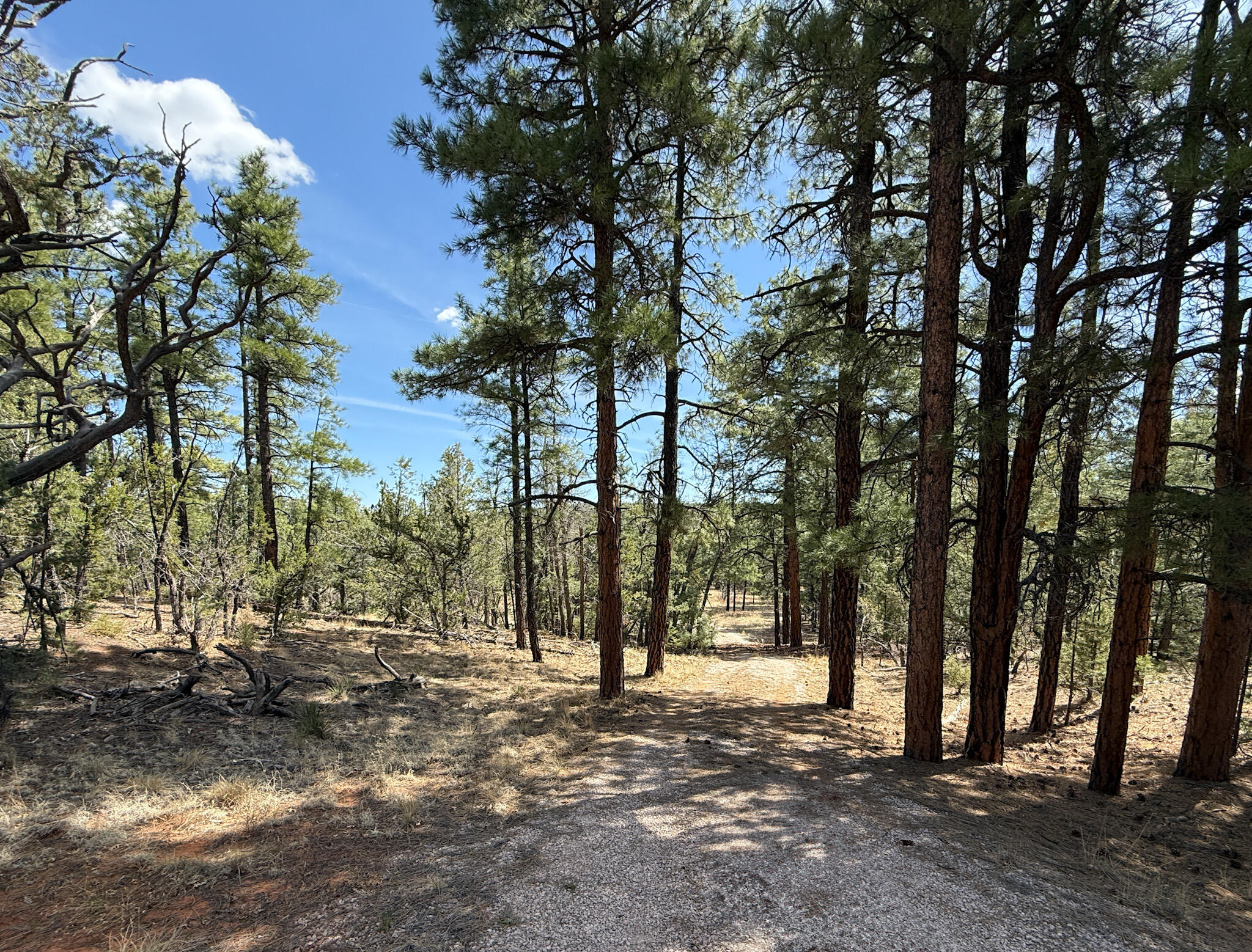 23 W Bluebird Road, Ramah, New Mexico image 35