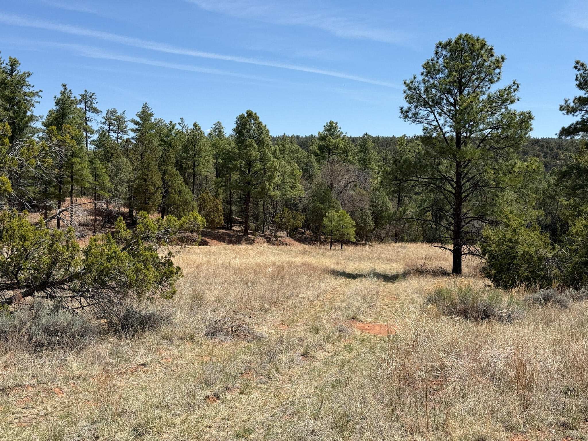 23 W Bluebird Road, Ramah, New Mexico image 32