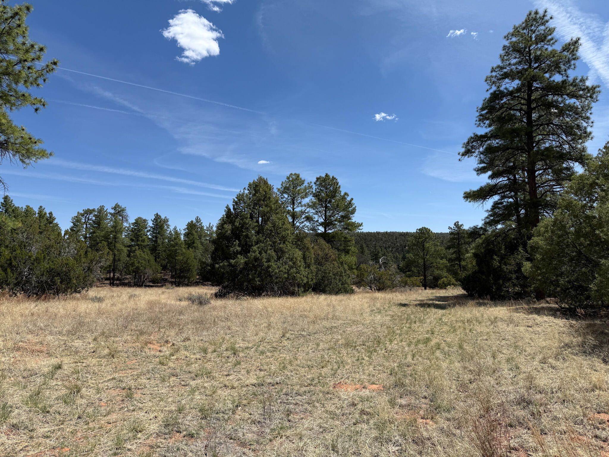 23 W Bluebird Road, Ramah, New Mexico image 31
