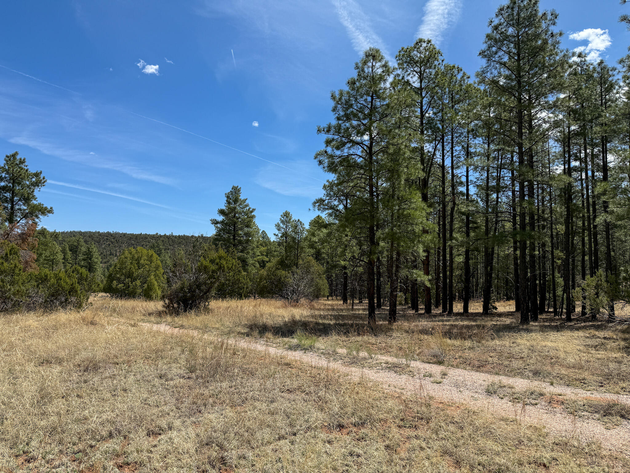 23 W Bluebird Road, Ramah, New Mexico image 39