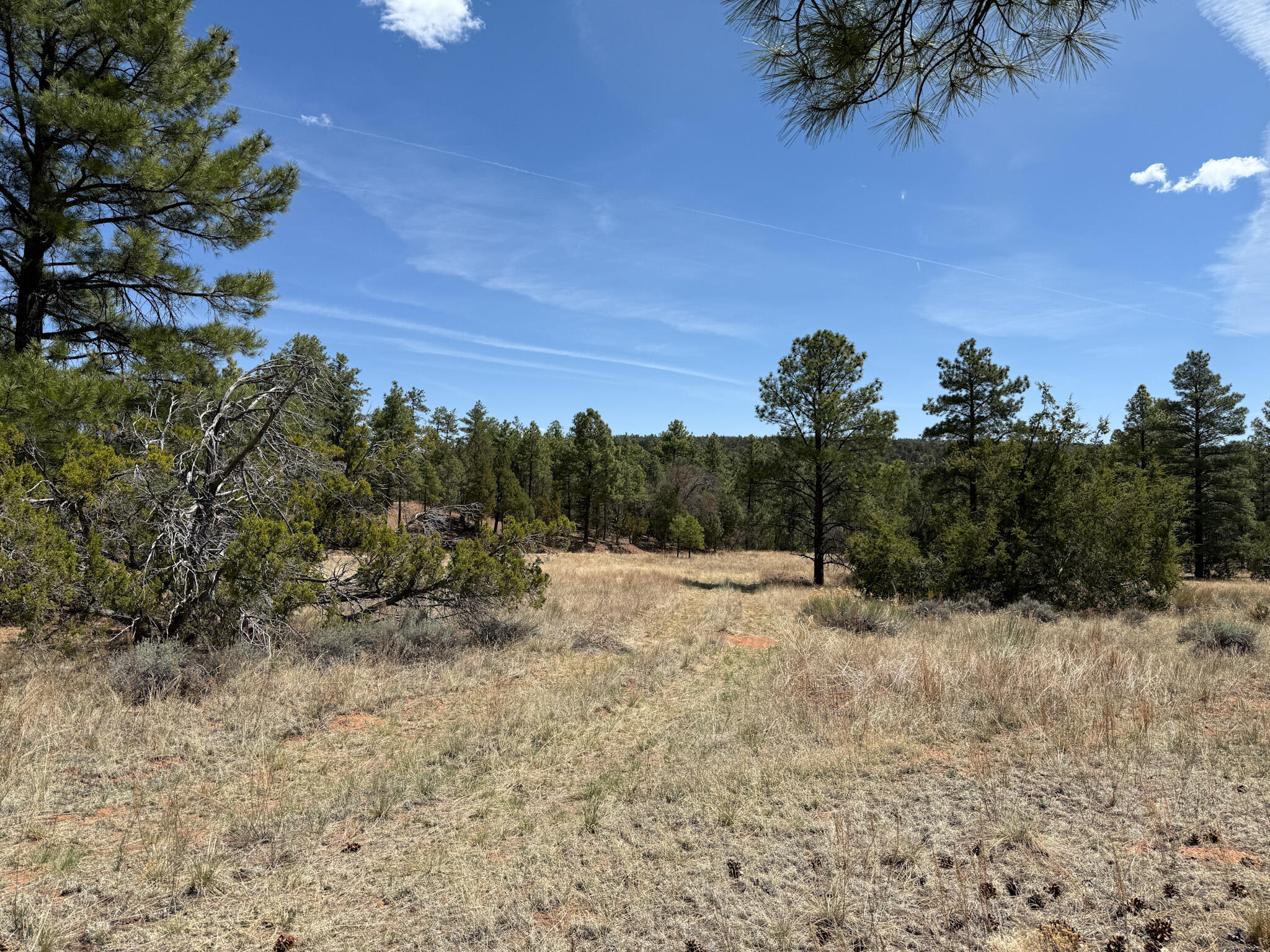 23 W Bluebird Road, Ramah, New Mexico image 37