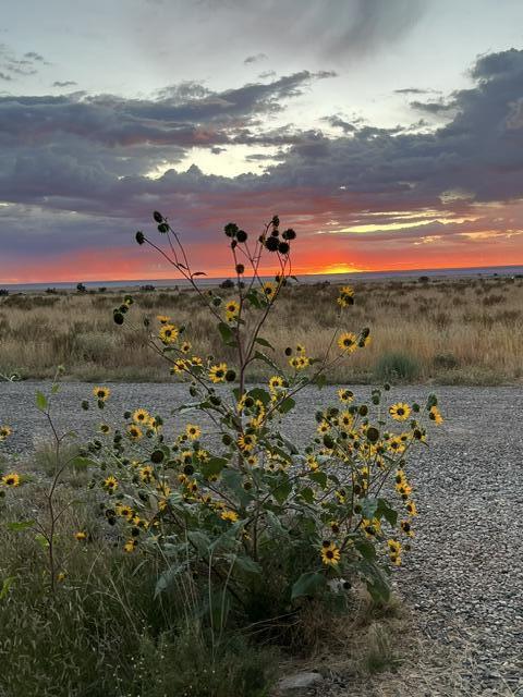 21 Camino No Mas, Stanley, New Mexico image 44