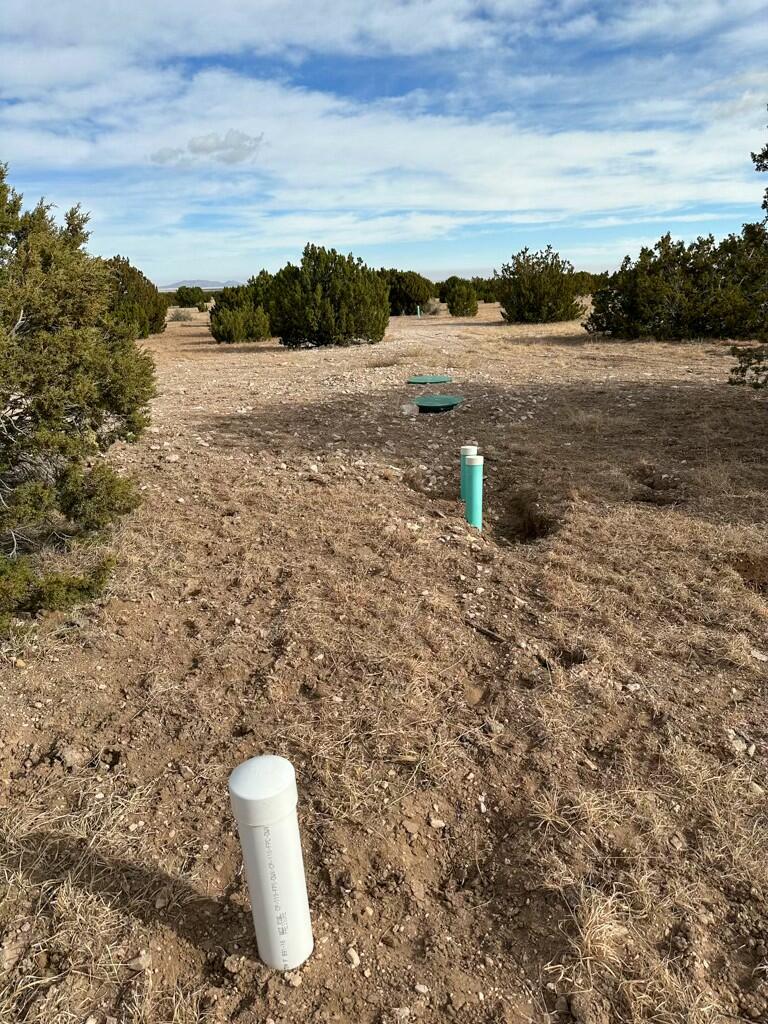 TBD County Road C03, Willard, New Mexico image 5