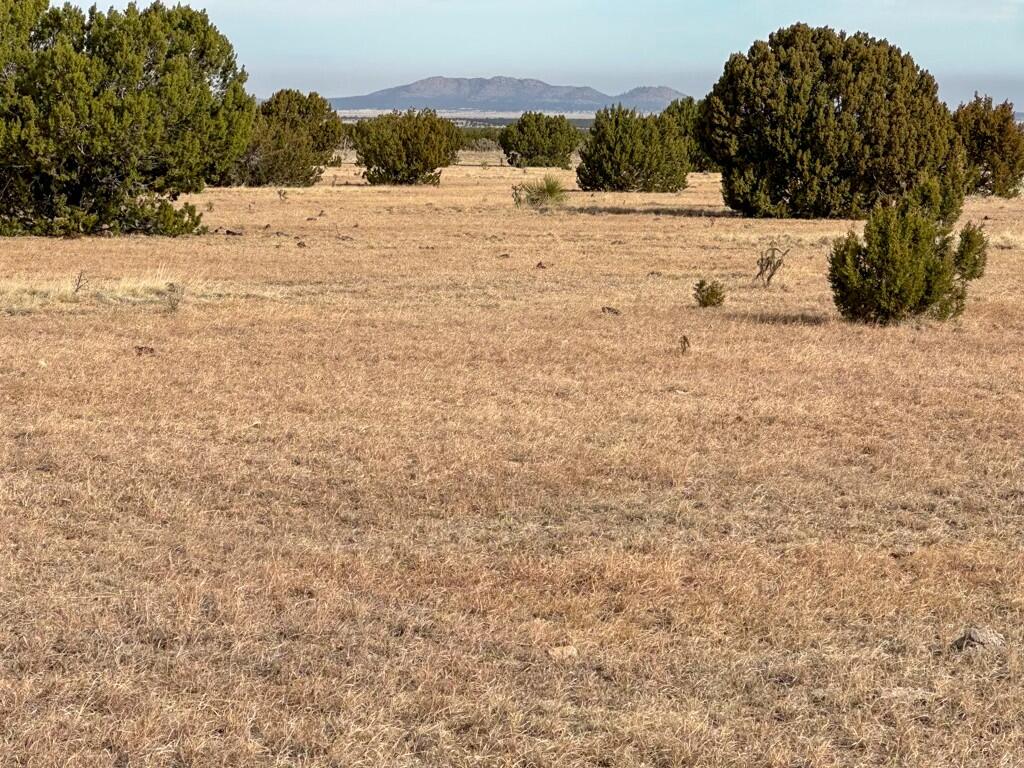 TBD County Road C03, Willard, New Mexico image 7