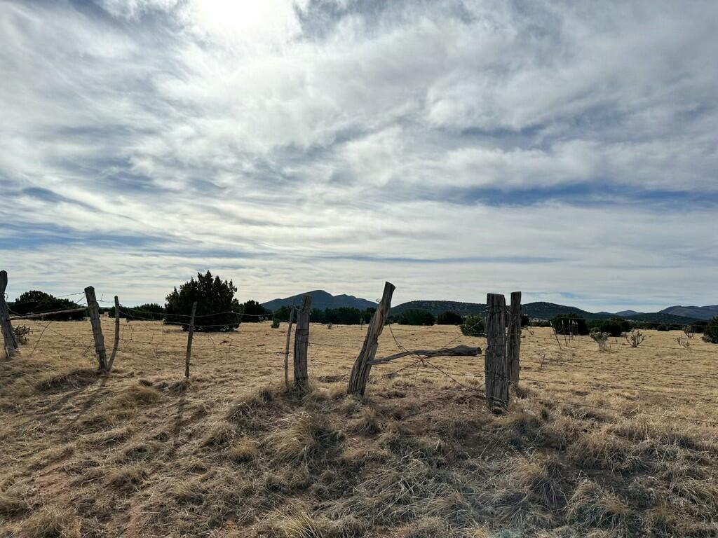 TBD County Road C03, Willard, New Mexico image 30