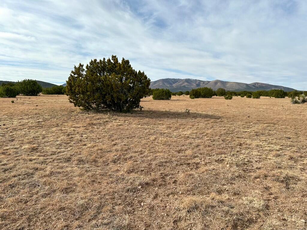 TBD County Road C03, Willard, New Mexico image 8
