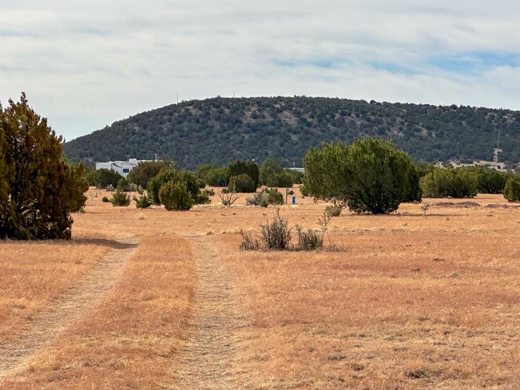 TBD County Road C03, Willard, New Mexico image 1