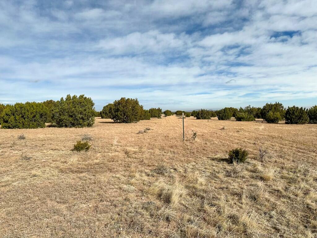 TBD County Road C03, Willard, New Mexico image 28