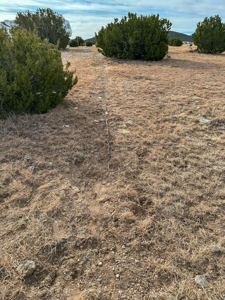 TBD County Road C03, Willard, New Mexico image 26