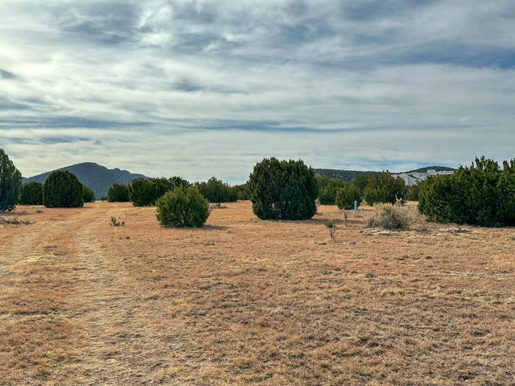 TBD County Road C03, Willard, New Mexico image 29