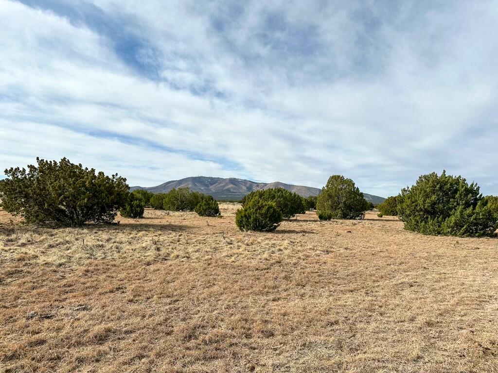 TBD County Road C03, Willard, New Mexico image 2