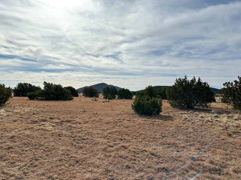 TBD County Road C03, Willard, New Mexico image 27